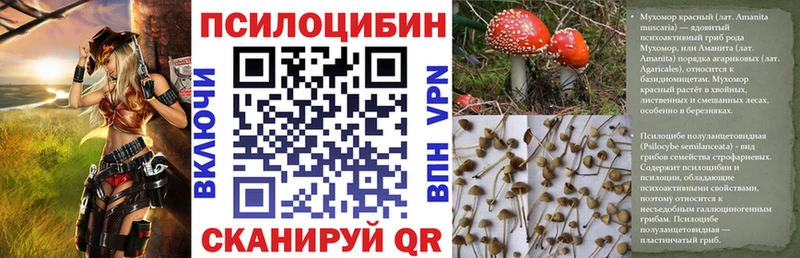 Псилоцибиновые грибы MAGIC MUSHROOMS Иркутск