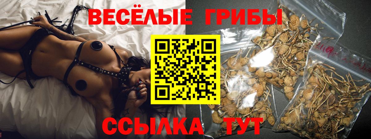 Россия  Галлюциногенные грибы мицелий  купить закладку  Галлюциногенные грибы GOLDEN TEACHER  Вход с VPN 